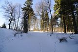 inselsberg_01_2017_050