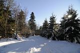 inselsberg_01_2017_053