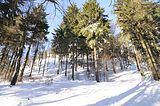 inselsberg_01_2017_054