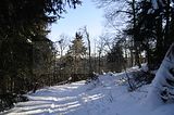 inselsberg_01_2017_056