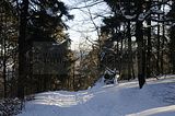inselsberg_01_2017_074