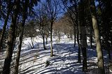 inselsberg_01_2017_076