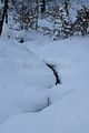 inselsberg_01_2017_077