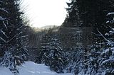 inselsberg_01_2017_078