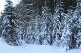 inselsberg_01_2017_079
