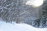 inselsberg_01_2017_080