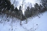 inselsberg_01_2017_081