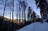 inselsberg_01_2017_083