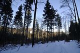 inselsberg_01_2017_086