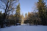 inselsberg_01_2017_088