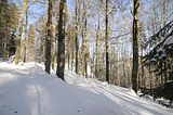 inselsberg_01_2017_091
