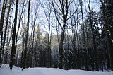 inselsberg_01_2017_093