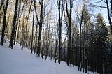 inselsberg_01_2017_094