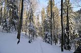 inselsberg_01_2017_096