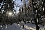 inselsberg_01_2017_097