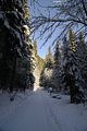 inselsberg_01_2017_098