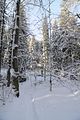 inselsberg_01_2017_099