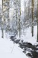 inselsberg_01_2017_100
