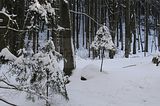 inselsberg_01_2017_101