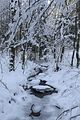 inselsberg_01_2017_103