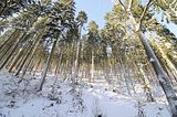 inselsberg_01_2017_108
