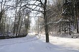 inselsberg_01_2017_110
