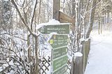inselsberg_01_2017_111