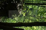koehlerstieg-greiz-12