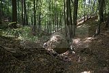 koehlerstieg-greiz-15