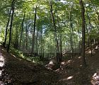 koehlerstieg-greiz-16