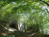 koehlerstieg-greiz-18