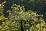 koehlerstieg-greiz-8