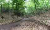 landgrafenschlucht-eisenach-02