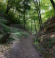 landgrafenschlucht-eisenach-05