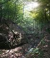 landgrafenschlucht-eisenach-10