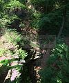 landgrafenschlucht-eisenach-13