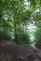 landgrafenschlucht-eisenach-18