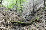 landgrafenschlucht-eisenach-19