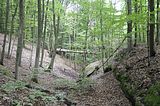 landgrafenschlucht-eisenach-22