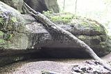 landgrafenschlucht-eisenach-23