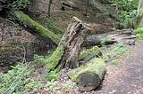 landgrafenschlucht-eisenach-28