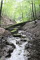 landgrafenschlucht-eisenach-29
