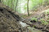 landgrafenschlucht-eisenach-31