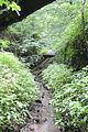 landgrafenschlucht-eisenach-32