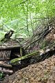 landgrafenschlucht-eisenach-33