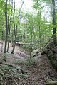 landgrafenschlucht-eisenach-40