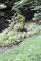 landgrafenschlucht-eisenach-41