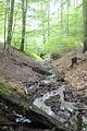 landgrafenschlucht-eisenach-42
