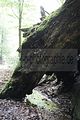 landgrafenschlucht-eisenach-47