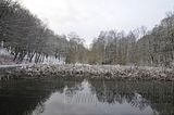 landgrafenschlucht-17-01-16-001